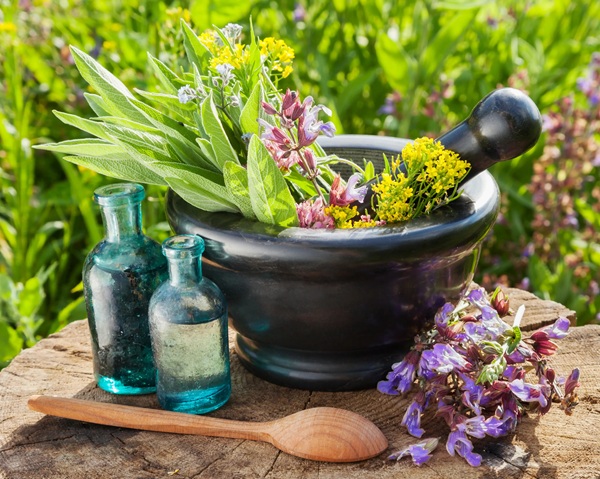 Backyard Healing Herbs